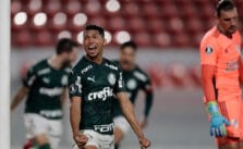 14 de julio. Pronóstico Universidad Católica vs Palmeiras - Copa Libertadores