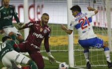 21 de julio. Pronóstico Palmeiras vs Universidad Católica - Copa Libertadores