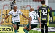 4 de julio. Pronóstico Sport Recife vs Palmeiras - Serie A de Brasil