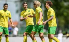 30 de julio. Pronóstico Cardiff vs Norwich - Inglaterra Championship