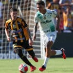 Pronóstico Palmeiras vs Novorizontino | Campeonato Paulista - 28/03/2024