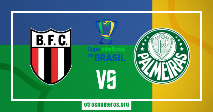 Pronóstico Botafogo-SP vs Palmeiras | Copa de Brasil – 23/05/2024