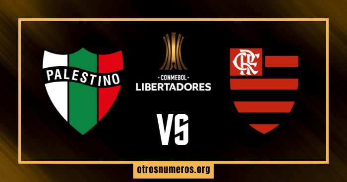 Pronóstico Palestino vs Flamengo | Copa Libertadores – 07/05/2024